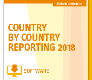 Immagine Country by country reporting | Euroconference