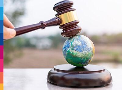 Legal english: contract law and company law