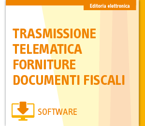 Immagine Trasmissione telematica forniture doc fiscali | Euroconference